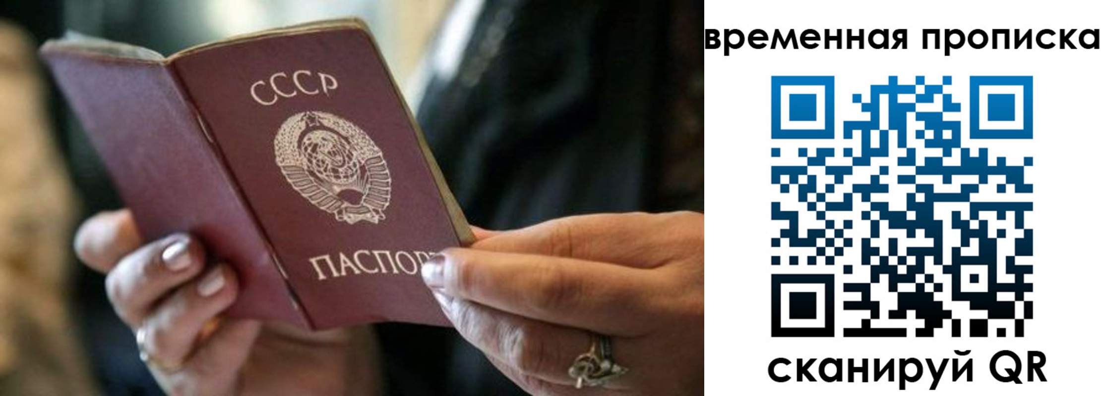 прописка иностранных граждан в Дубне